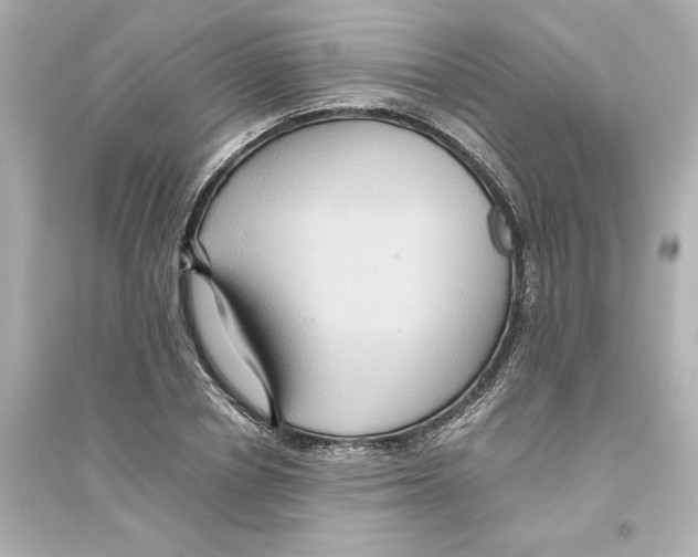 X0000093610834200711121210