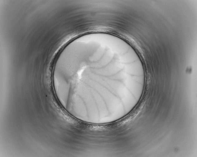X0000093610835200711121210