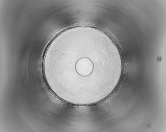 X0000093610836200711121210