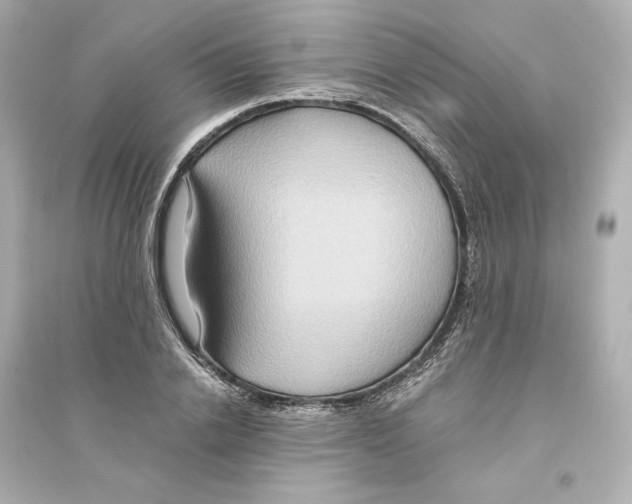 X0000093610838200711121210