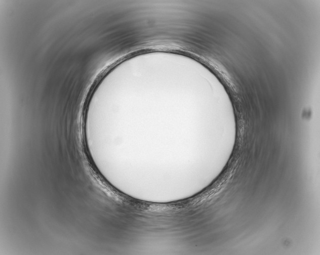 X0000093610840200711121210