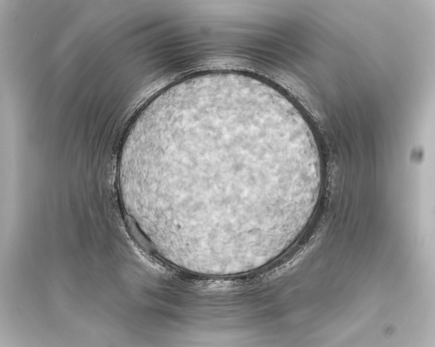 X0000093610841200711121210