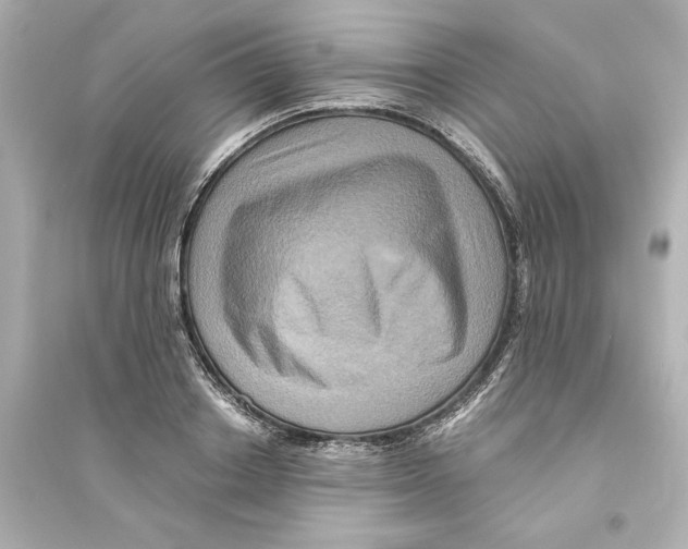 X0000093610842200711121210