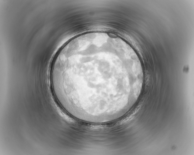 X0000093610843200711121210