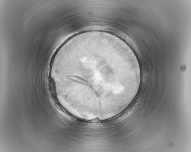 X0000093610844200711121210