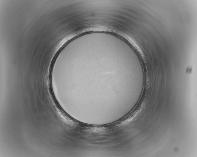 X0000093610845200711121210
