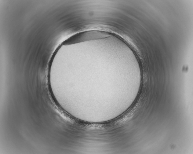 X0000093610846200711121210