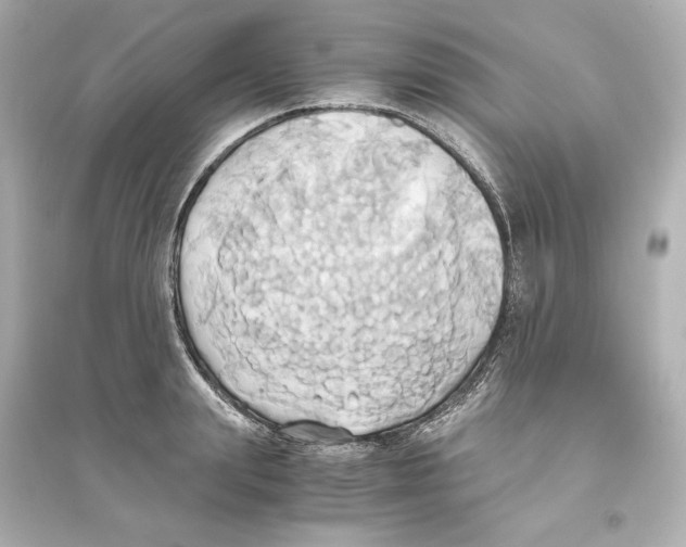 X0000093610847200711121210