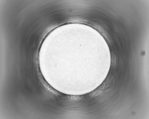 X0000093610848200711121210