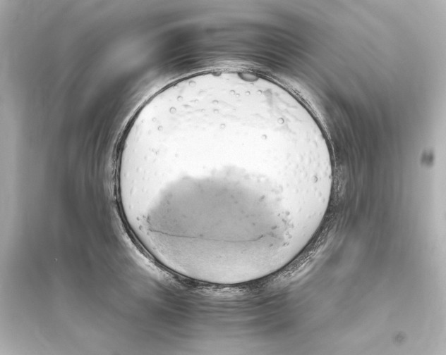 X0000093610851200711121210