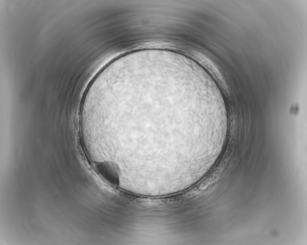 X0000093610852200711121210