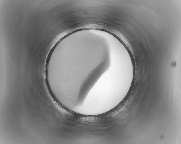 X0000093610853200711121210