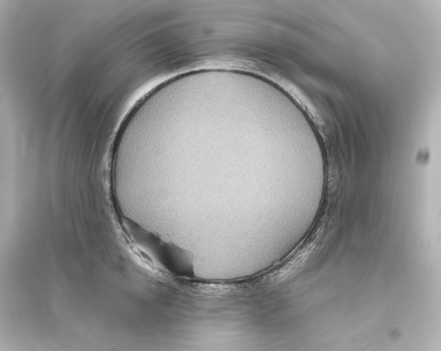 X0000093610854200711121210