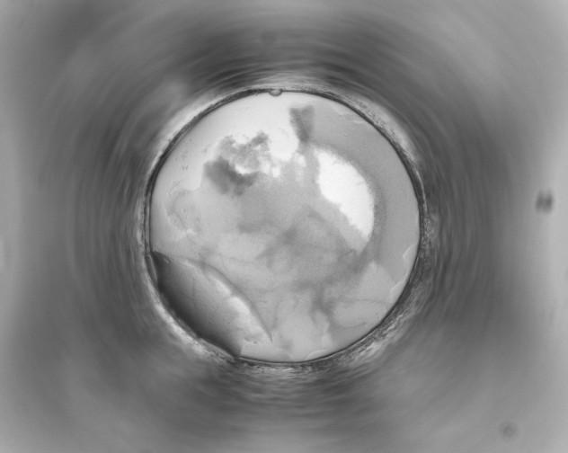 X0000093610855200711121210