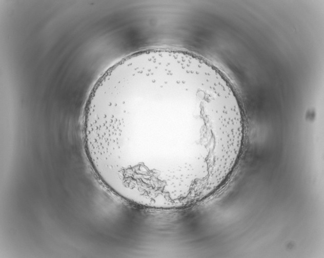 X0000093610856200711121210