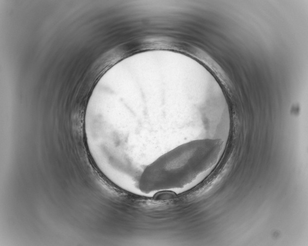 X0000093610857200711121210