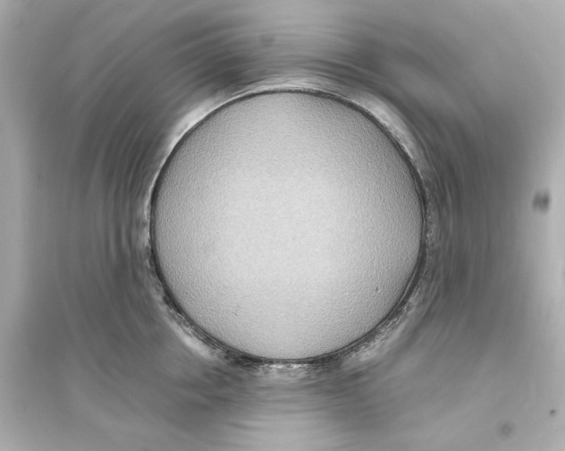 X0000093610858200711121210