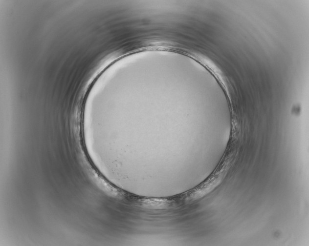 X0000093610859200711121210