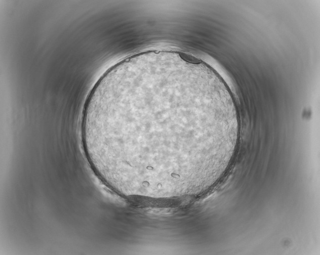 X0000093610861200711121210
