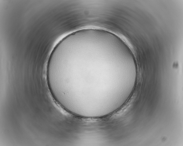 X0000093610862200711121210