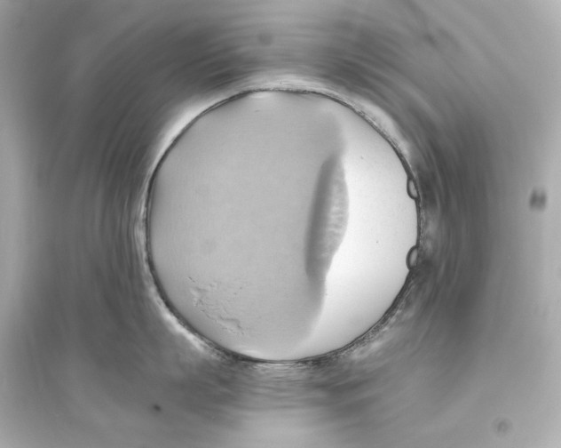 X0000093610863200711121211