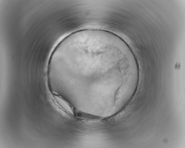 X0000093610864200711121211