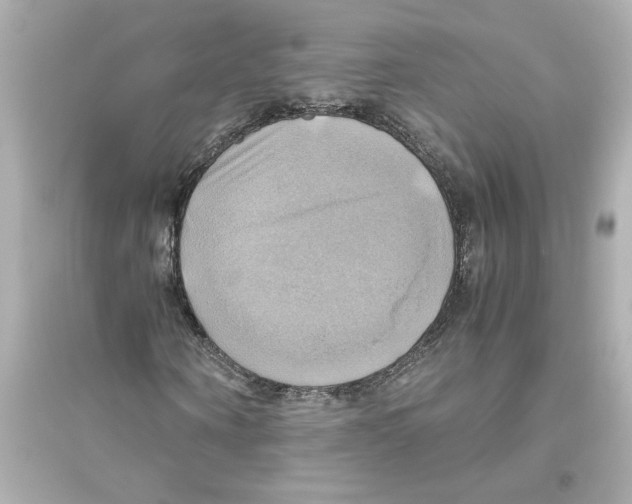 X0000093610866200711121210