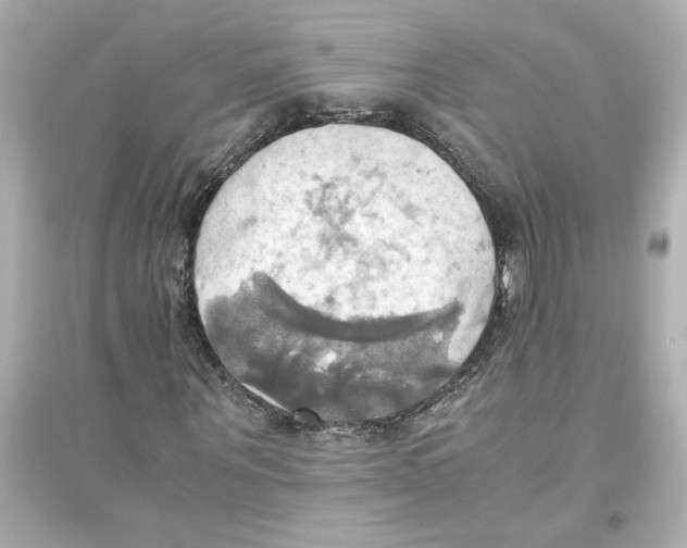 X0000093610867200711121210