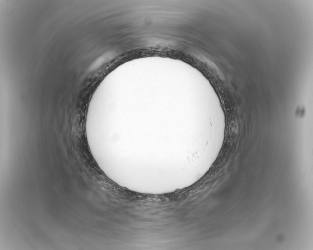 X0000093610869200711121210