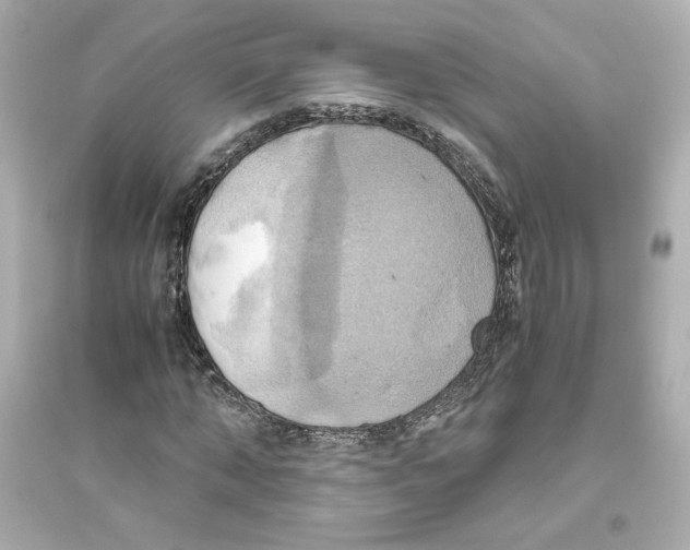 X0000093610870200711121210