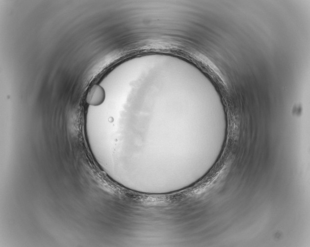 X0000093610874200711121210