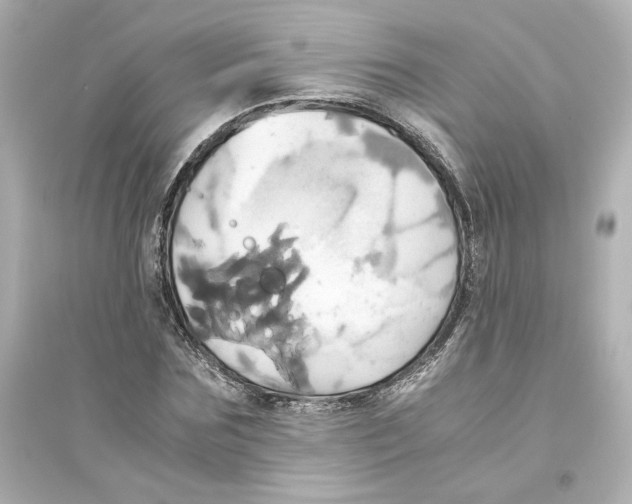 X0000093610875200711121210