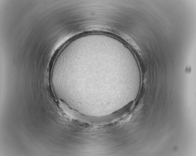 X0000093610877200711121210