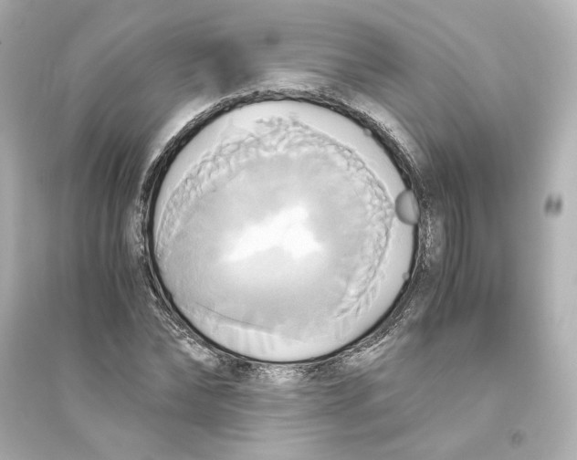 X0000093610878200711121210