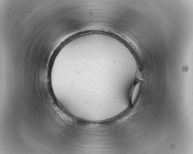 X0000093610880200711121209