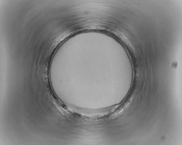 X0000093610881200711121209