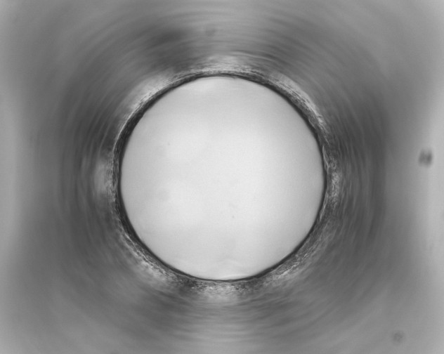 X0000093610882200711121209