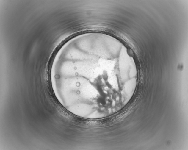 X0000093610883200711121209