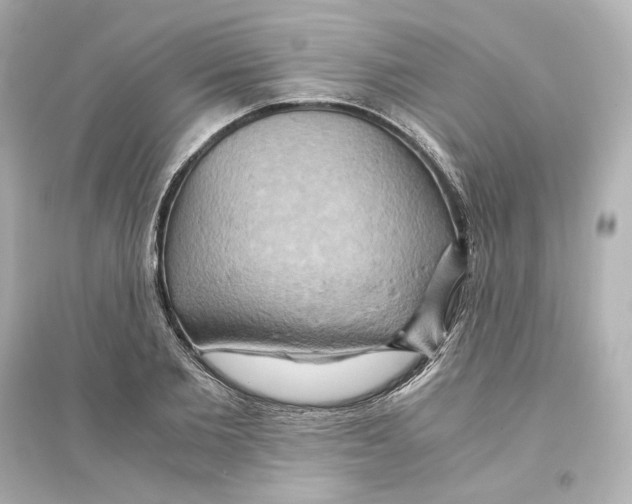 X0000093610885200711121209
