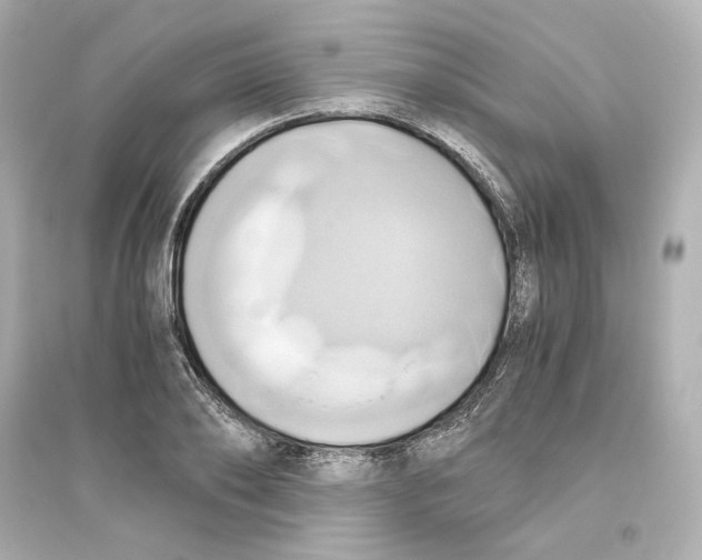 X0000093610886200711121209