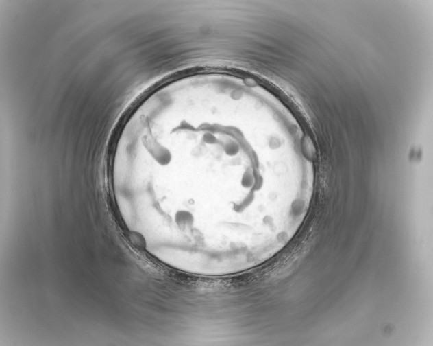X0000093610887200711121209