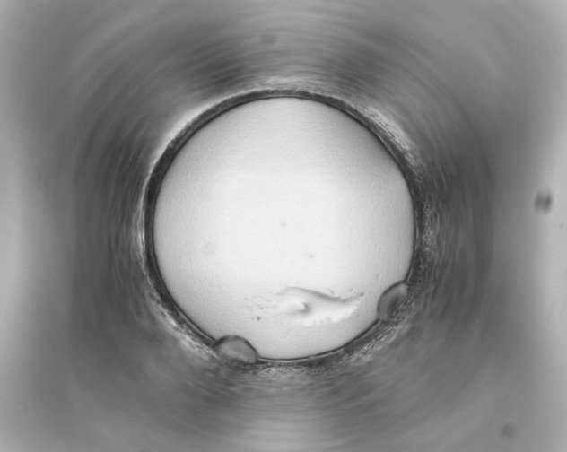 X0000093610888200711121209