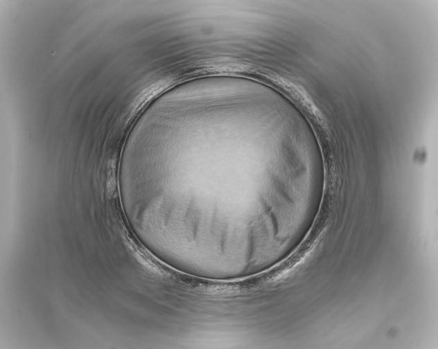 X0000093610889200711121209