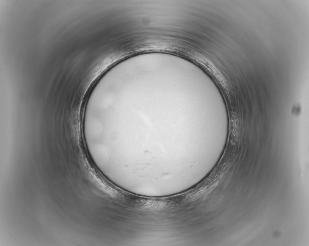 X0000093610890200711121209