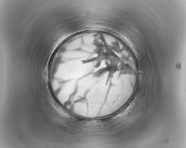 X0000093610891200711121209