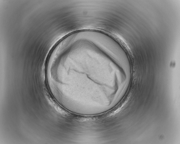 X0000093610892200711121209