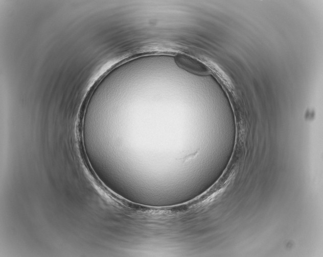 X0000093610893200711121209