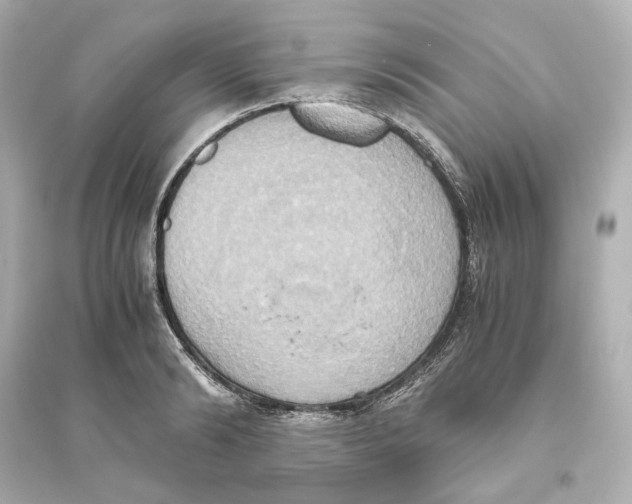 X0000093610894200711121209