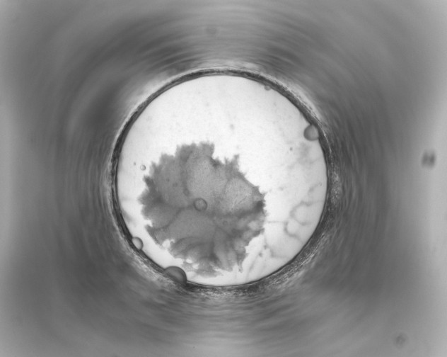 X0000093610895200711121209