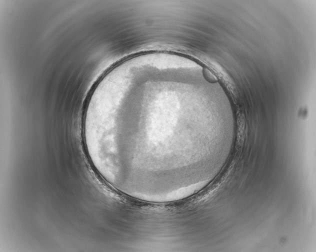 X0000093610896200711121209